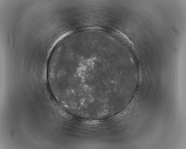 X0000112931174200909211107
