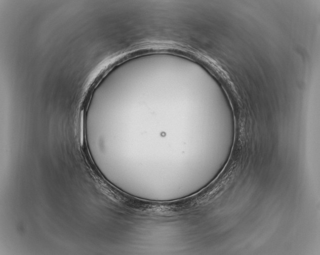 X0000112931175200909211107