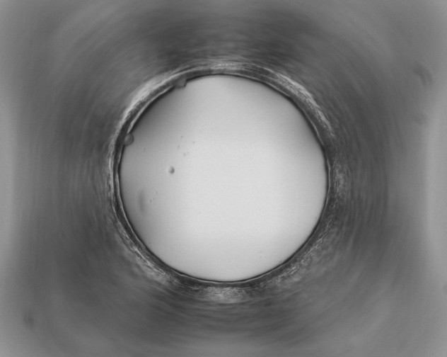 X0000112931176200909211107