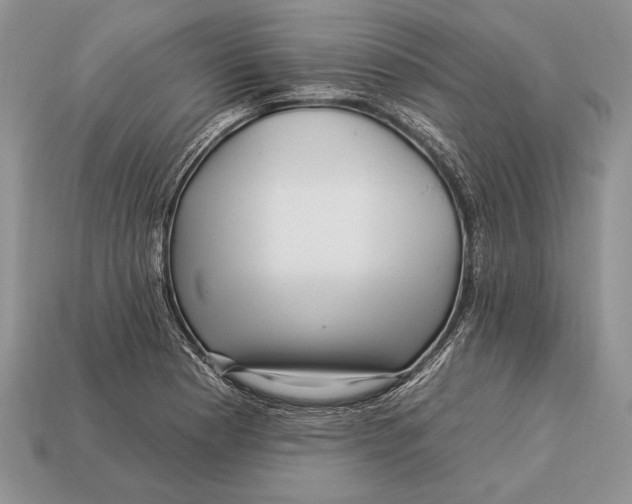 X0000112931177200909211107