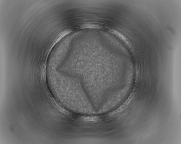 X0000112931178200909211107