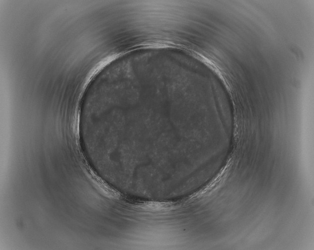 X0000112931179200909211107