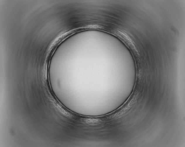 X0000112931180200909211107