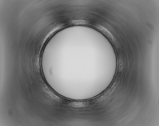X0000112931182200909211107