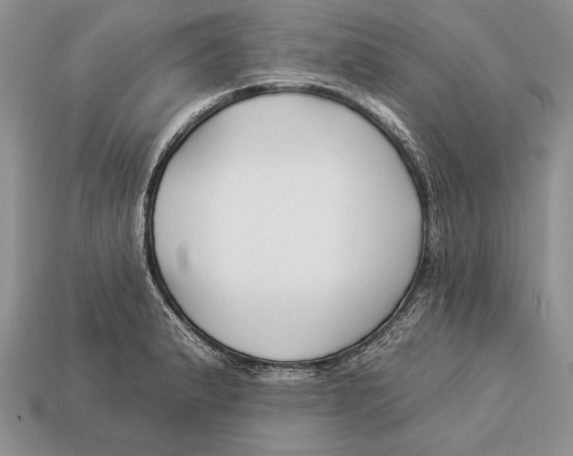 X0000112931183200909211107