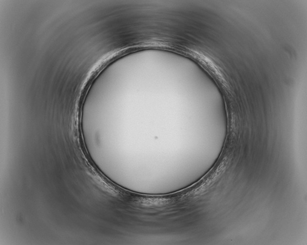X0000112931184200909211107