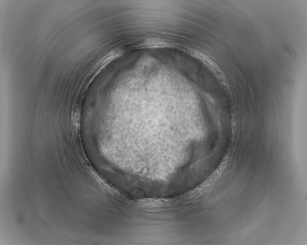X0000112931185200909211107