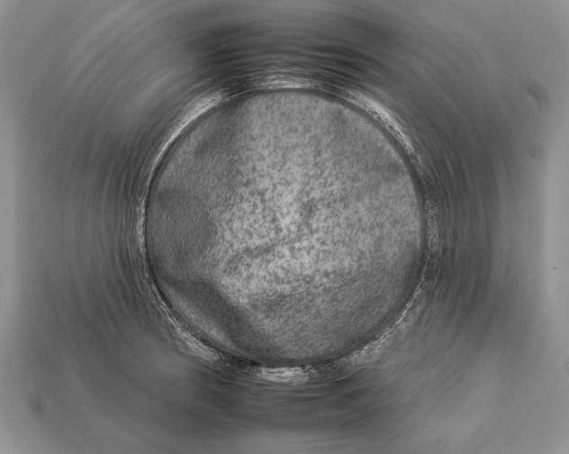 X0000112931186200909211107