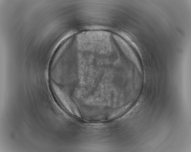 X0000112931189200909211107