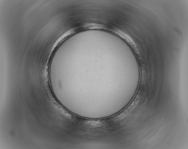 X0000112931190200909211107