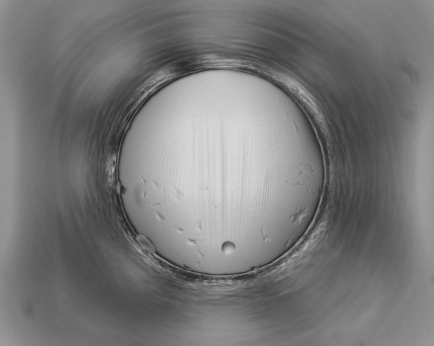 X0000112931193200909211107