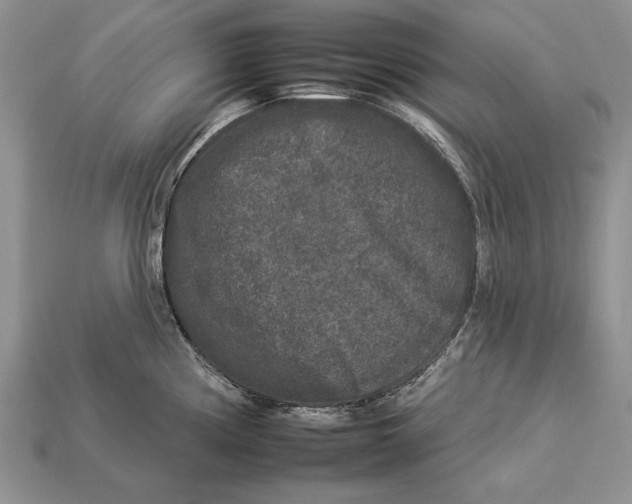 X0000112931194200909211107