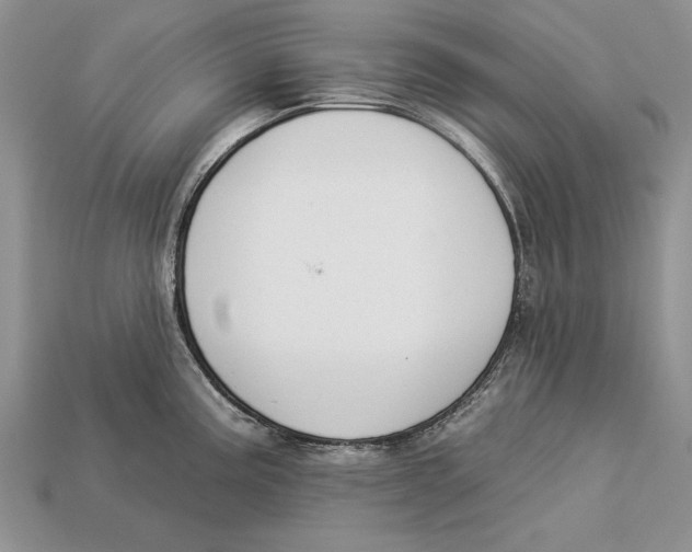 X0000112931195200909211107