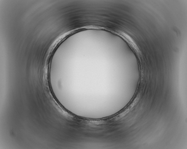 X0000112931196200909211107