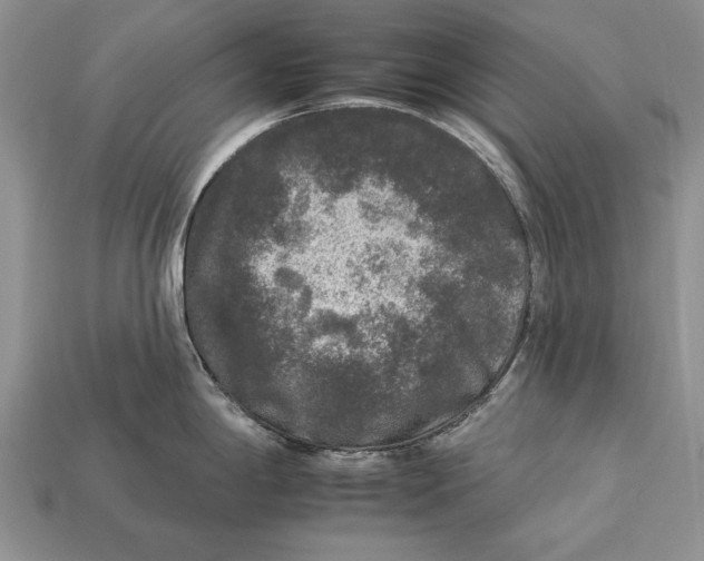 X0000112931198200909211107