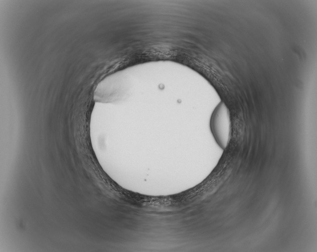 X0000112931201200909211106
