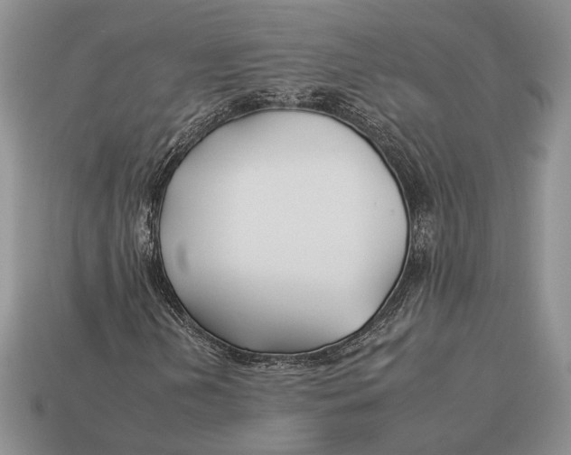 X0000112931202200909211106