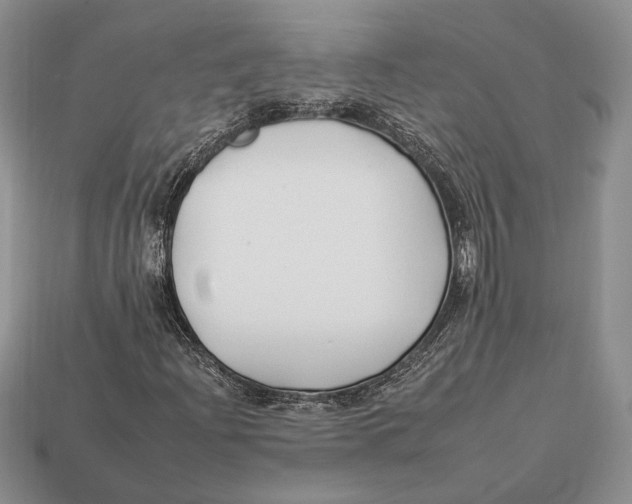 X0000112931204200909211107