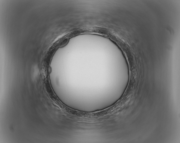 X0000112931206200909211107