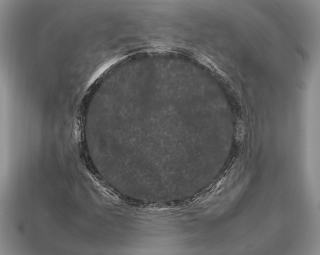 X0000112931208200909211107