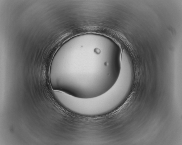 X0000112931209200909211107