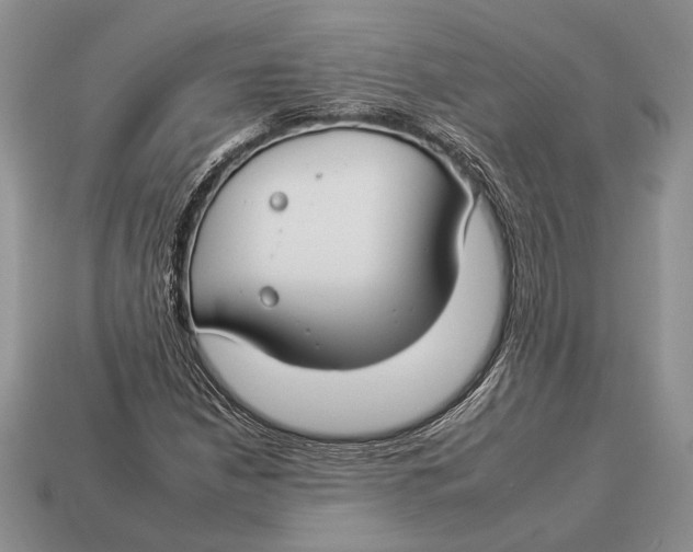 X0000112931210200909211107