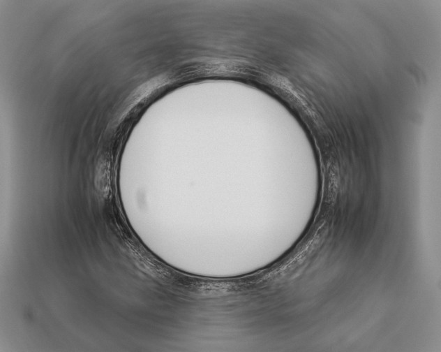 X0000112931211200909211107