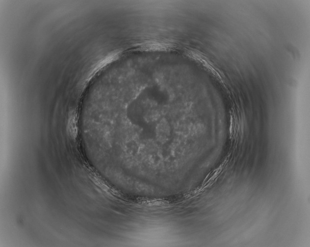 X0000112931213200909211107