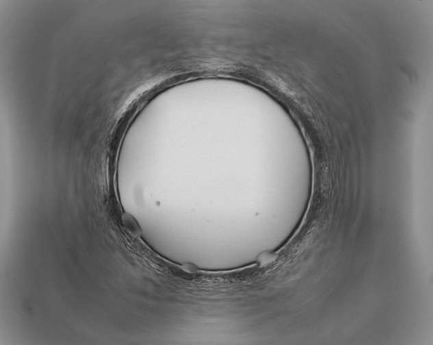 X0000112931214200909211107