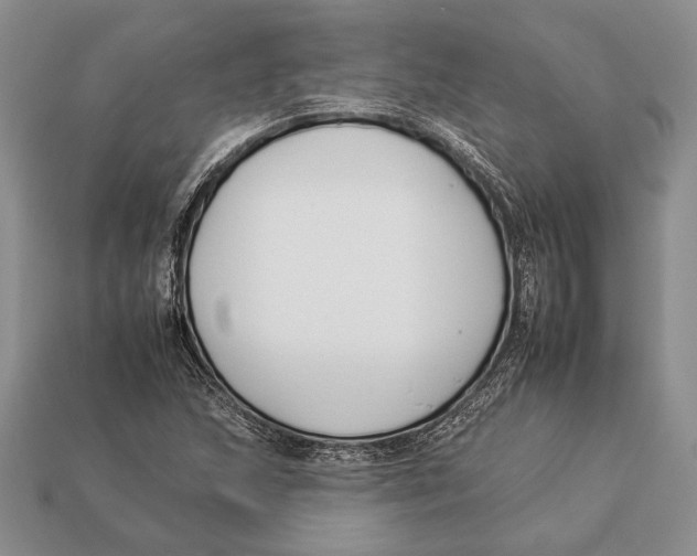 X0000112931215200909211107