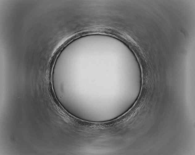 X0000112931216200909211107