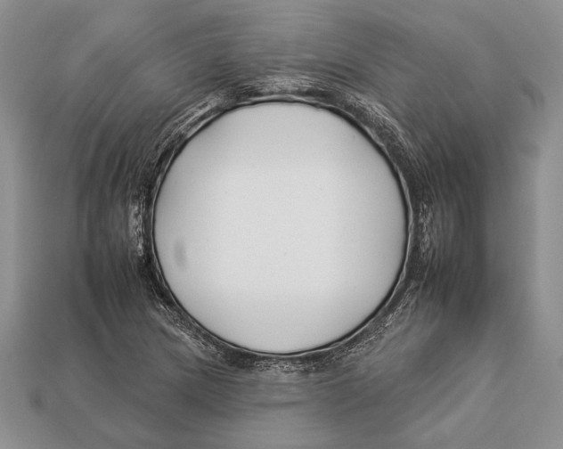 X0000112931217200909211107