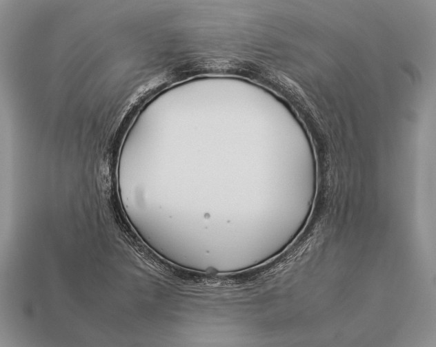 X0000112931218200909211107