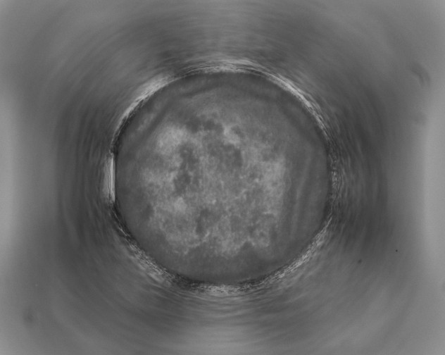X0000112931219200909211107