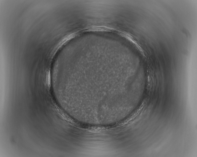 X0000112931221200909211107