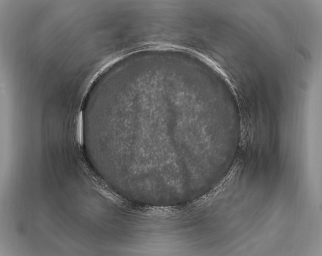 X0000112931223200909211107