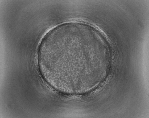 X0000112931224200909211107