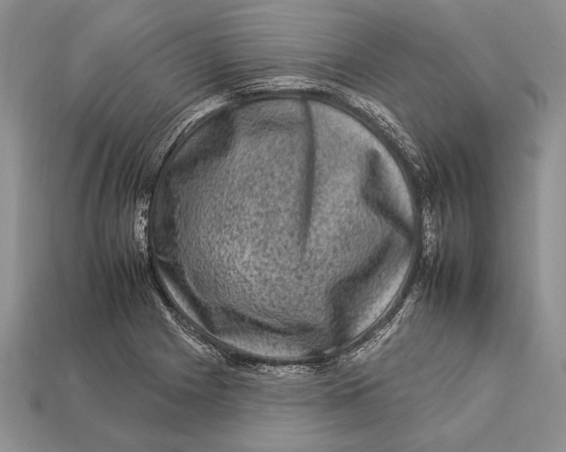 X0000112931225200909211107
