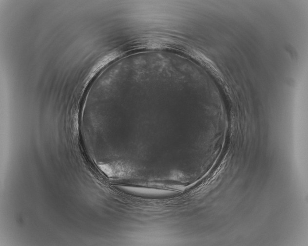 X0000112931226200909211107