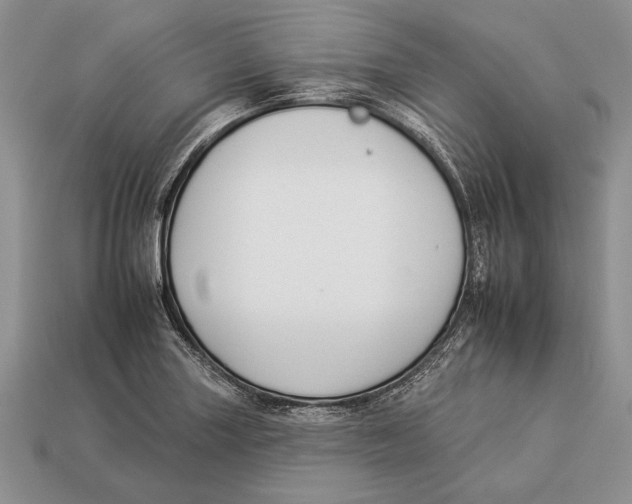 X0000112931227200909211107