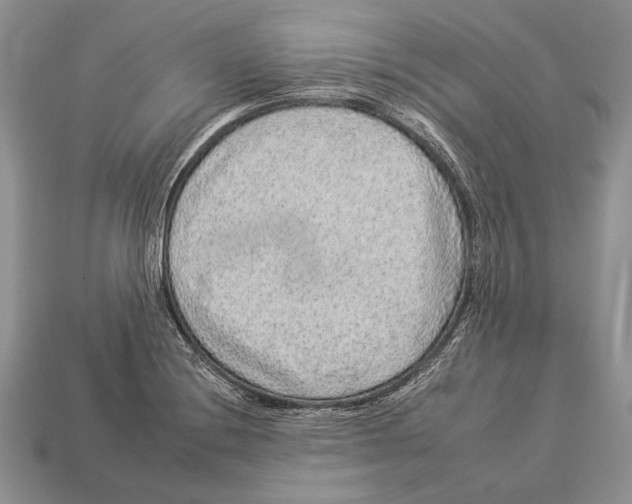 X0000112931228200909211107