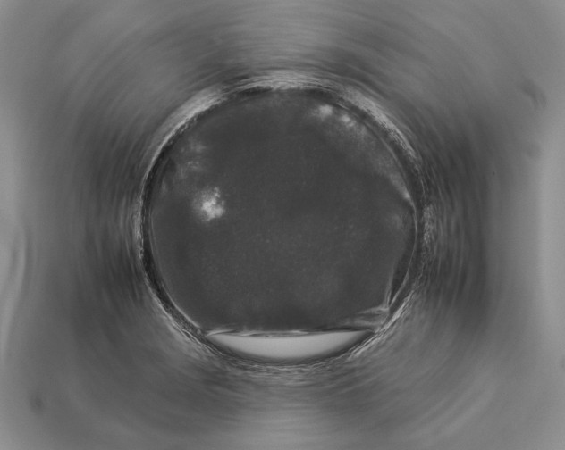 X0000112931229200909211107