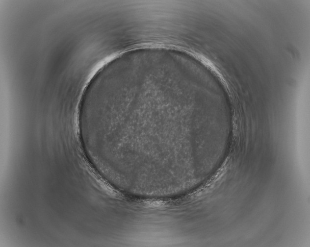 X0000112931230200909211107