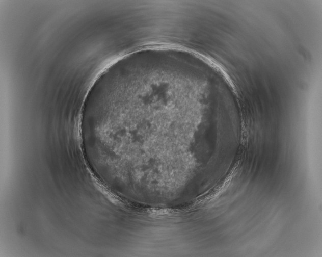 X0000112931231200909211107