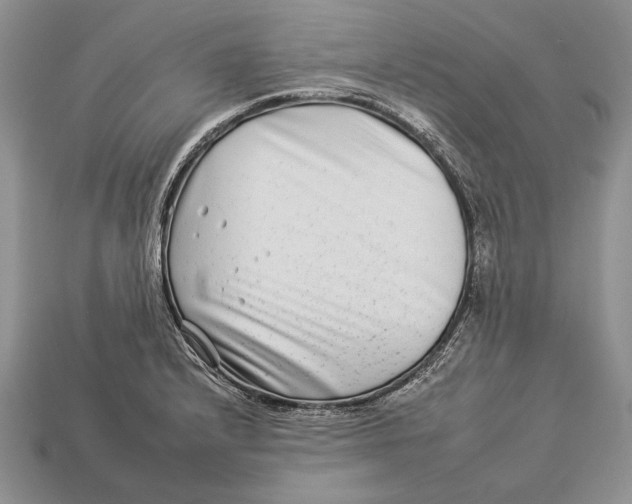 X0000112931232200909211107