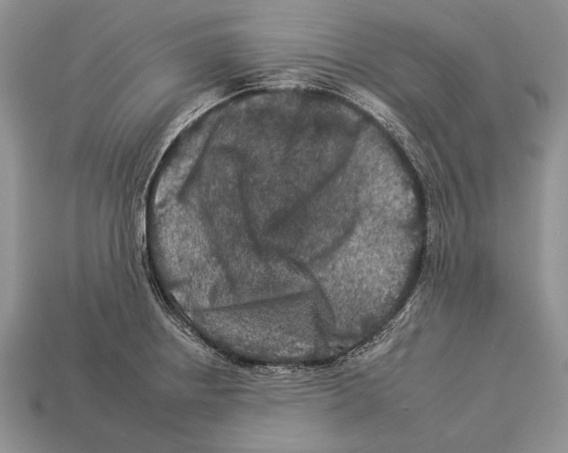 X0000112931234200909211107