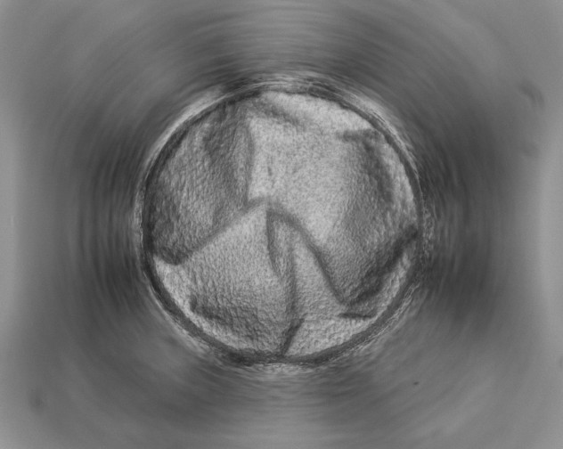 X0000112931235200909211107