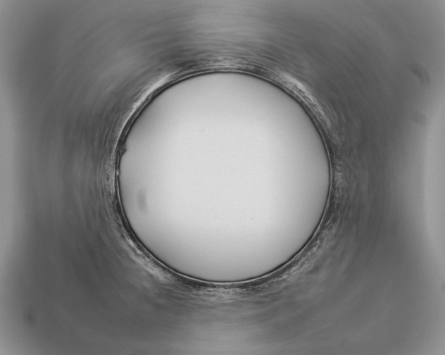 X0000112931236200909211107
