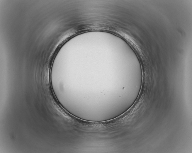 X0000112931238200909211107