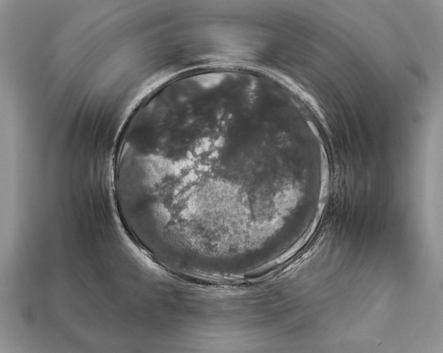 X0000112931239200909211107